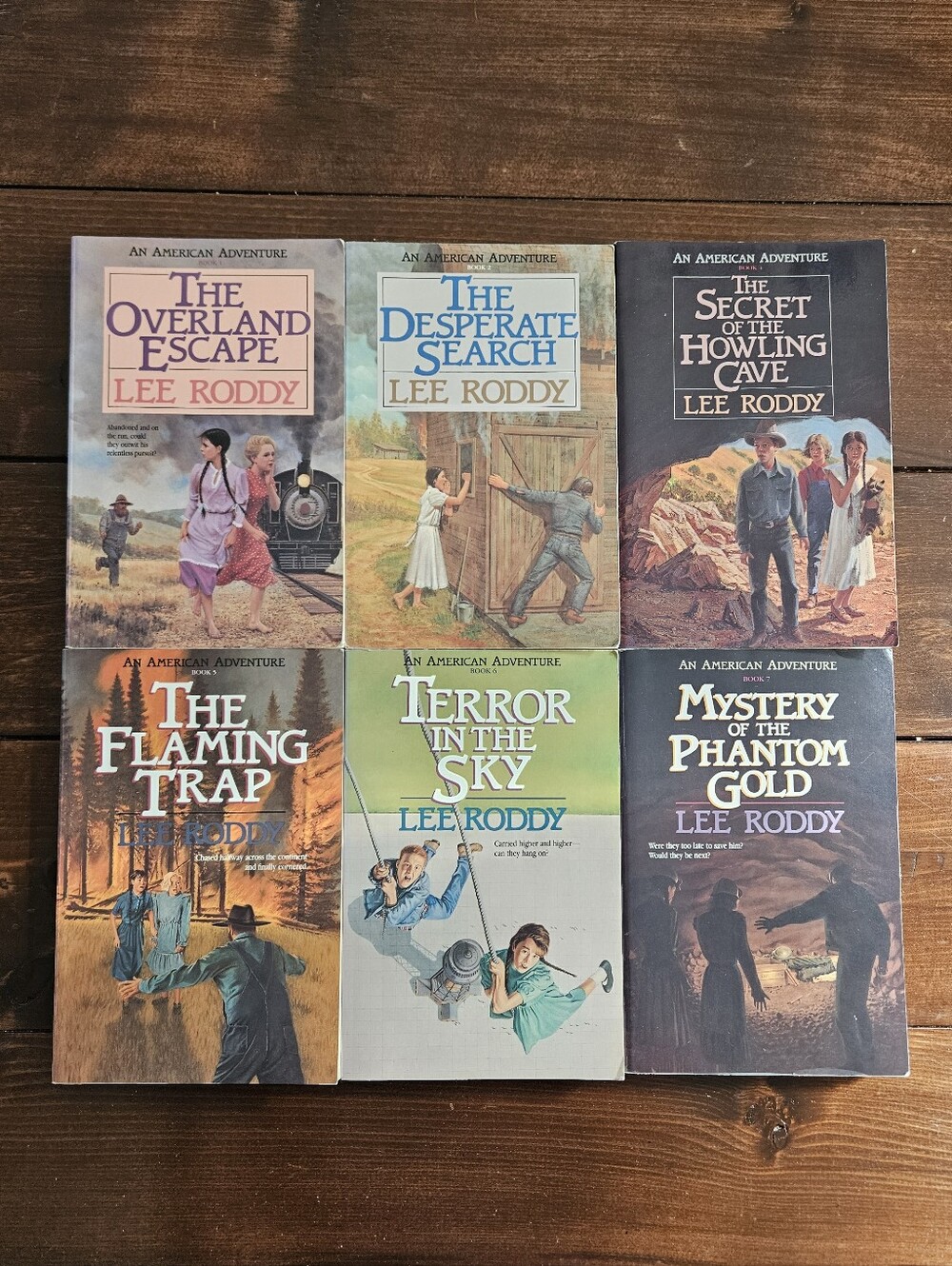 Lot 6 An American Adventure Lee Roddy Christian Series Books 1-2, 4-7 PB 1989-91